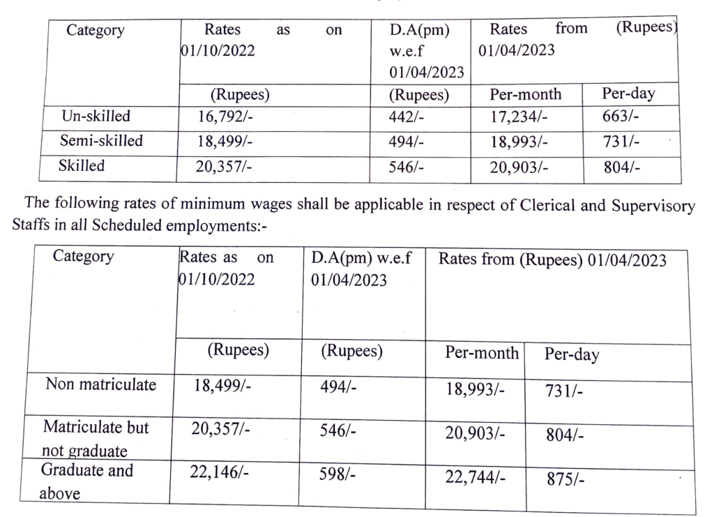 Delhi__Minimum_Wages__20420231 Download